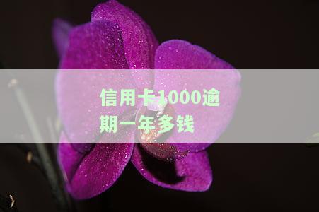信用卡1000逾期一年未还，利息累积多少？影响严重吗？