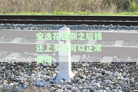 安逸花逾期后还款：多久能恢复正常使用及影响征信时间