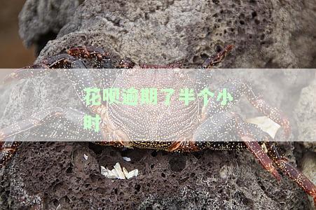 花呗逾期了半个小时
