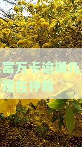 玖富万卡逾期多久会仲裁？影响及处理方法
