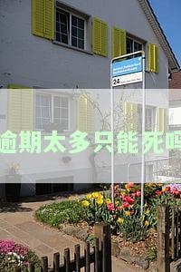 逾期多了怎么办？贷款、拘留风险解析