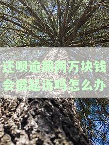 还呗逾期两万块钱会被起诉吗？解决方案！