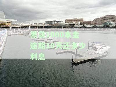 黑贷1000本金逾期10天利息计算方法