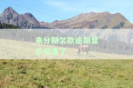 来分期逾期几分怎么办，如何处理来分期逾期几分的情况？