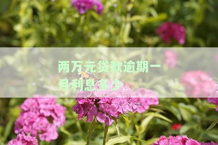 两万元贷款逾期一月利息多少？正常、合适是多少？逾期一年应还多少，最高利息是多少？