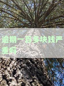 逾期一百多块钱严重吗？可能会被起诉，如何处理？
