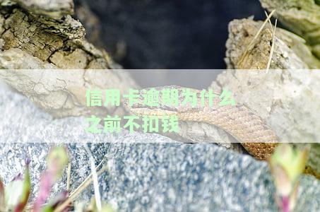 信用卡逾期为什么之前不扣钱