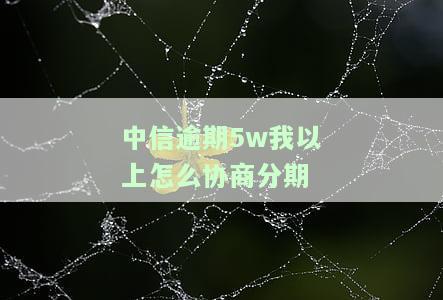 中信逾期5w我以上怎么协商分期