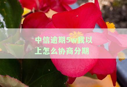 欠中信信用卡逾期协商分期不成功？教你解决办法！