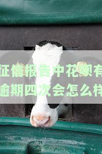征信报告中花呗有逾期四次会怎么样