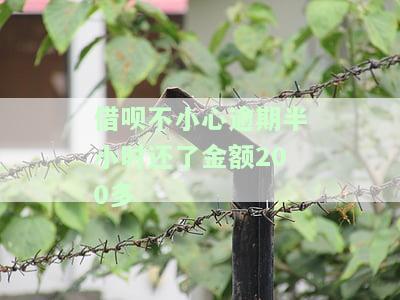 借呗不小心逾期半小时还了金额200多会起诉吗，关于借呗逾期半小时还款200多元是否会遭到起诉的问题探讨