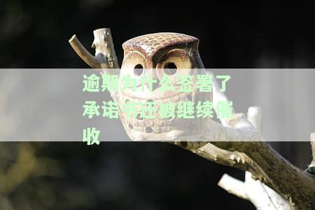 逾期银行贷款写了承诺书，承诺还款：解决逾期银行贷款问题的有效方式