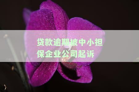 贷款逾期被中小担保企业公司起诉-贷款逾期被中小担保企业公司起诉怎么办