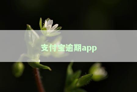 支付宝逾期多久会被起诉,金额达到多少，支付宝逾期多久会面临法律诉讼？金额门槛是多少？