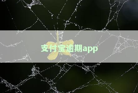 支付宝逾期怎么协商期还款，支付宝逾期处理：如何成功申请期还款？
