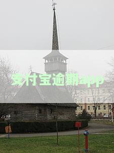 支付宝逾期-支付宝逾期的界面是什么