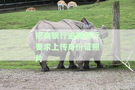 招商银行材料上传流程及要求，包括上传时间、无法上传原因及所需凭证含义