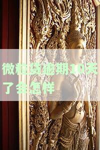 微粒贷逾期10天了会怎样-微粒贷逾期10天了会怎样处理