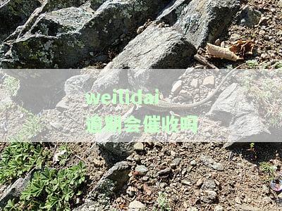 微粒贷逾期会催收吗？真的会被暴力催收、起诉吗？