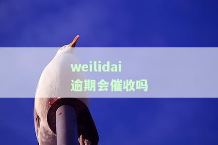 微贷逾期催款给家人打电话合法吗，探讨微贷逾期催款是否可以拨打借款人家人电话的合法性