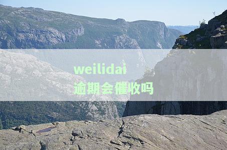 2021年微粒贷逾期催收：电话、严重程度及持续时间全解析