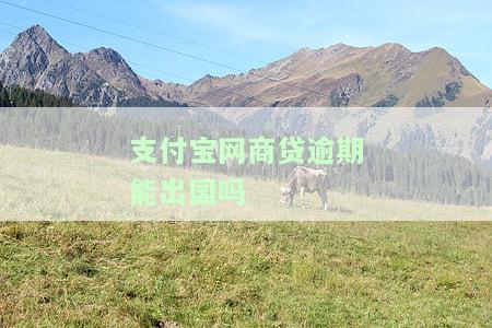 支付宝网商贷逾期会影响个人贷款及购房信誉吗？还会对信用卡和银行贷款产生影响吗？逾期是否会上征信？请看完整解析！