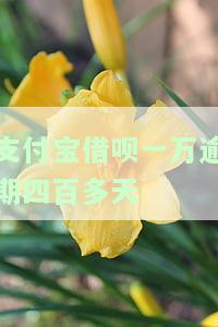 支付宝借呗一万逾期四百多天如何处理？逾期费用、时间及起诉风险解析