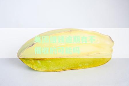 美团借钱逾期有不催收的可能吗-美团借钱逾期有不催收的可能吗知乎