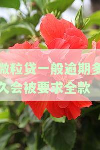 微粒贷逾期多少天会催收？从何时开始？需要全额还款吗？