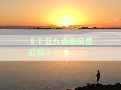 长银五八金融不还：后果及解决办法