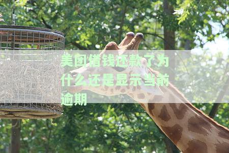 美团借钱还款了为何仍显示逾期？