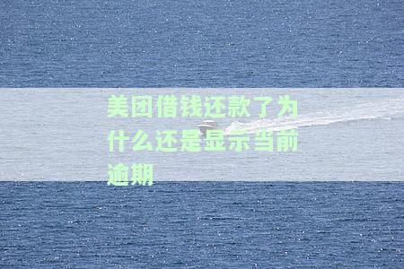 美团借钱：本月已还清但仍需还清才能再借？