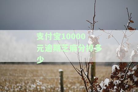 支付宝欠款1万逾期3年未还，可能面临诉讼和罚款
