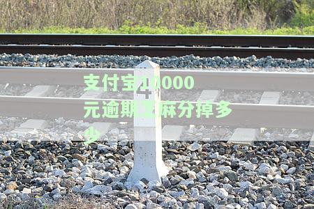 支付宝逾期一万元一年后需还多少？利息、本金全知道！