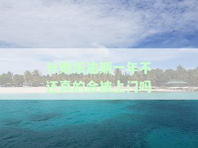 分期乐逾期一年会上征信吗？逾期一年亲身经历及影响解析