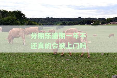 分期乐逾期一年亲身经历，警惕！分期乐逾期一年的亲身经历，你不能忽视的教训
