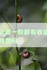 公寓一般都有收逾期费吗-公寓一般都有收逾期费吗多少钱