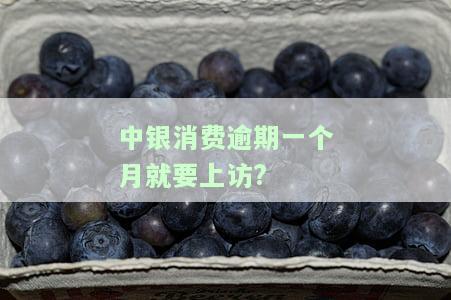 中银消费逾期多久上征信？逾期多久会被起诉？现已逾期两年，如何还款？过年期间会催收吗？