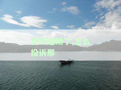 花呗逾期了，如何有效投诉平台及联系客服？