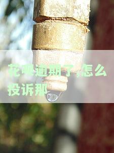 花呗逾期了，如何向银行投诉？客服电话及银监会投诉方式解析