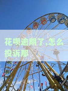花呗逾期了,怎么投诉那-花呗逾期了,怎么投诉那个平台
