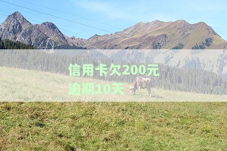 信用卡欠200元逾期10天会起诉吗？后果及解决办法