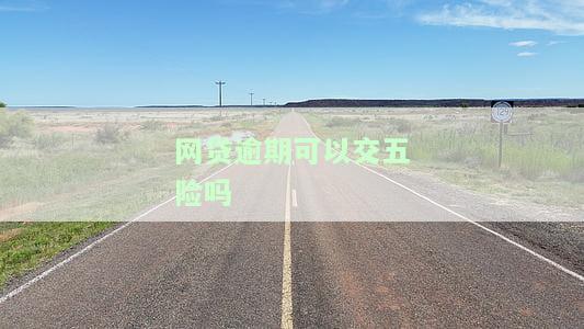 网贷逾期可以交五险吗怎么办，网贷逾期导致无法缴纳五险，如何解决？