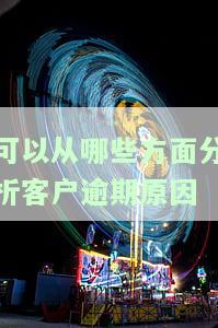 逾期客户特征分析，探究逾期客户的独特特征：一份深入的分析