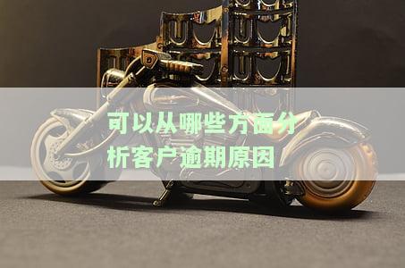 客户逾期的主要原因可分为:()和还款能力不足两个方面，探究客户逾期的两大主要原因：逾期行为与还款能力不足