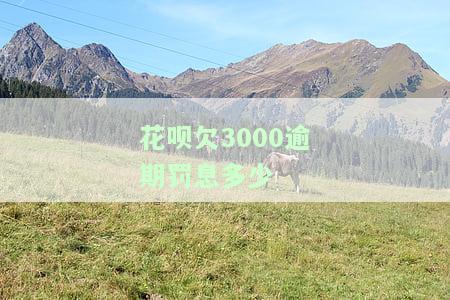 花呗欠3000逾期罚息多少-花呗欠3000逾期罚息多少钱