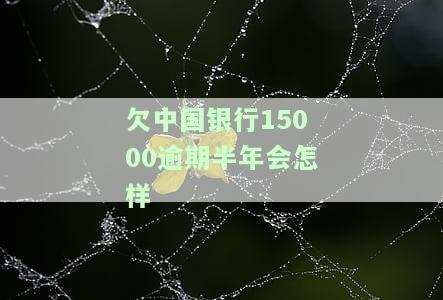 中国银行逾期费多少，了解中国银行的逾期费用：你需要知道的关键信息
