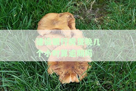 建设银行房贷晚几个小时算逾期吗-建设银行房贷晚几个小时算逾期吗怎么办