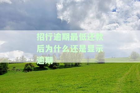招商银行逾期最低还款，警惕！招商银行逾期还款将面临最低还款压力