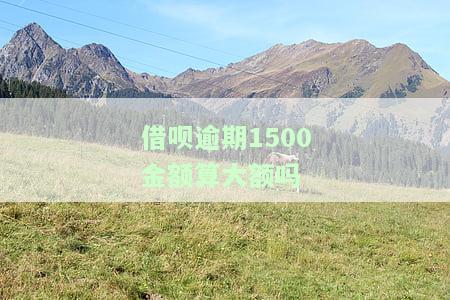 借呗逾期1500金额算大额吗怎么办，借呗逾期1500元是否算大额？如何解决？